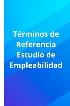 Terminos-Referencia-Metodologia-Centros-Incidencia
